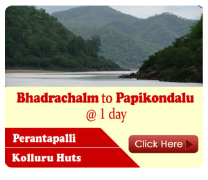 kolluru night stay, papikondalu bamboo huts