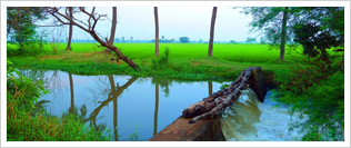 papikondalu trip,papikondalu tours